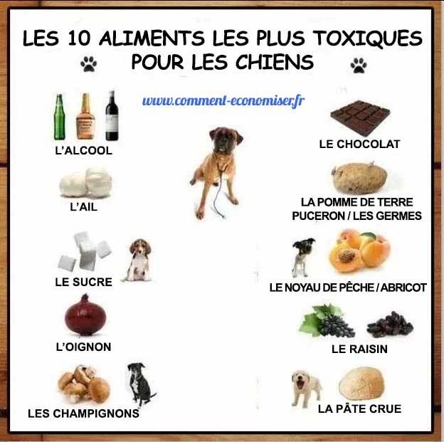 Les lamblias dans leau chlorurée