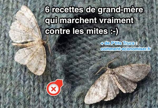 6 recettes de grand m 232 re contre les mites qui marchent 6 recettes de grand m 232 re contre les mites qui marchent