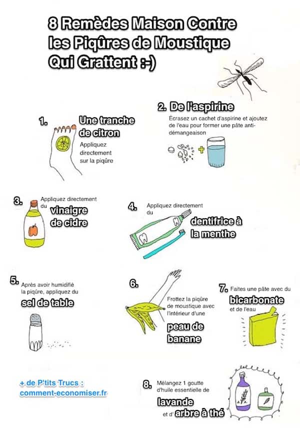 8 Remèdes Maison Contre les Piqûres de Moustiques Qui 8 Remèdes Maison Contre les Piqûres de Moustiques Qui