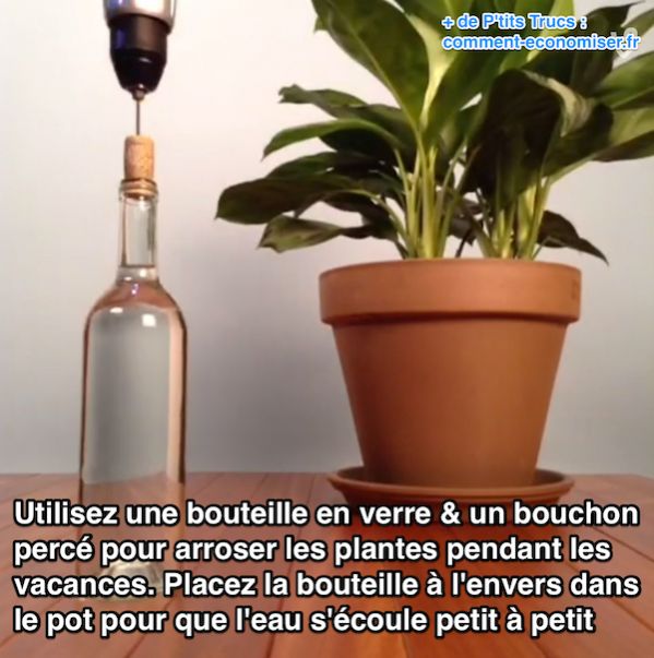 comment arroser avec une bouteille a l envers