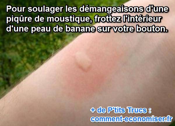 La description du poivre de la sorte la tache de rousseur
