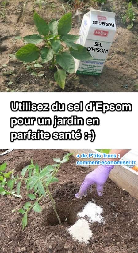 20 Secrets de Jardinage Que TOUT LE MONDE Devrait Connaître. 20 Secrets de Jardinage Que TOUT LE MONDE Devrait Connaître.