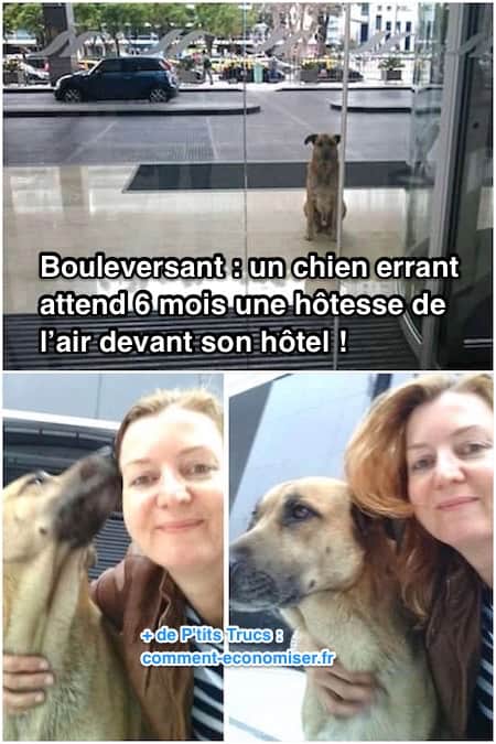 Elle Se Fait Baiser Par Son Chien Communaut Mcms