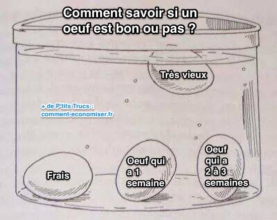 comment savoir qu un oeuf est encore bon