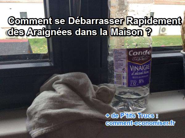 Les comprimés de tous les aspects des helminthes les rappels
