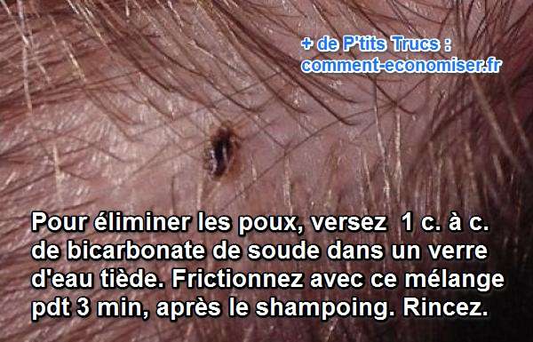 Les lamblias dans lintestin chez lenfant de la photo