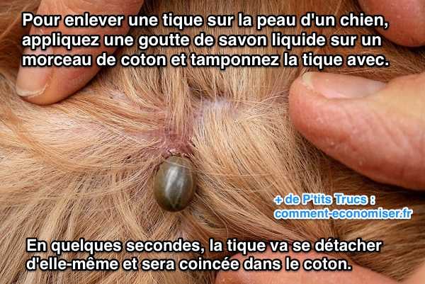 Les points noirs sur la personne chez le nourrisson que faire