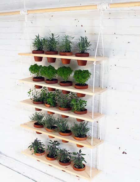 Herbes aromatiques : 18 façons astucieuses de les faire pousser en ...
