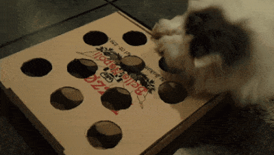 Jouet pour chat pas cher voire gratuit 