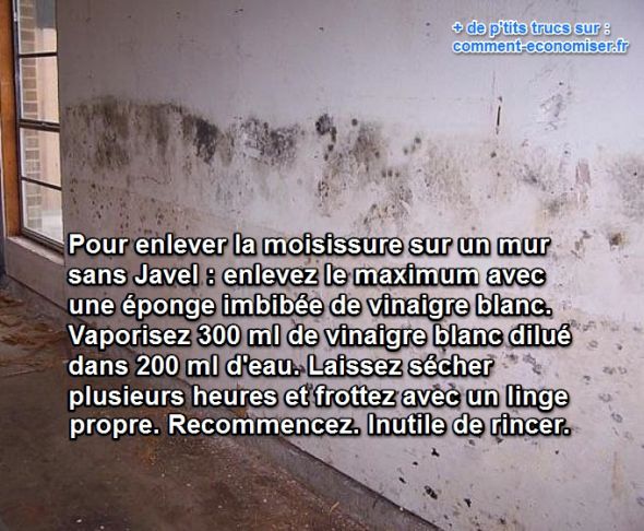 Astuce GÃ©niale pour Enlever la Moisissure des Murs Sans Javel.