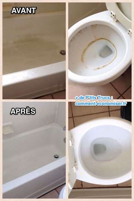 Remettre les analyses à spb sur les parasites