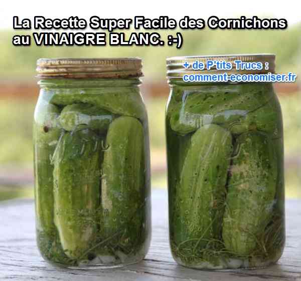 La Recette Super Facile des Cornichons au VINAIGRE BLANC.