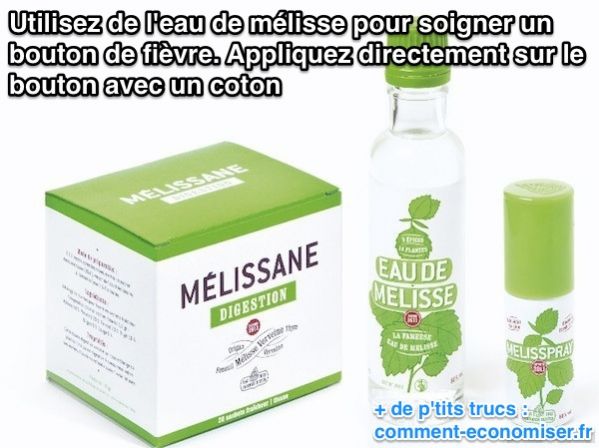 " Le Petit Journal Quotidien " Maria21 - Page 12 Eau-melisse-bouton-fievre