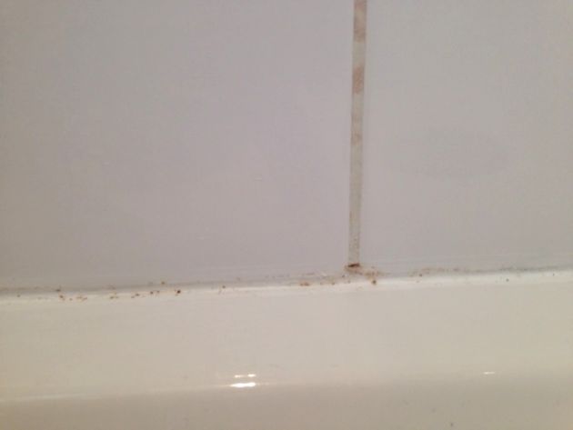 joint moisi tout propre