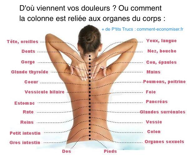 " Santé Au Naturel " Origines-douleurs-dos-corps